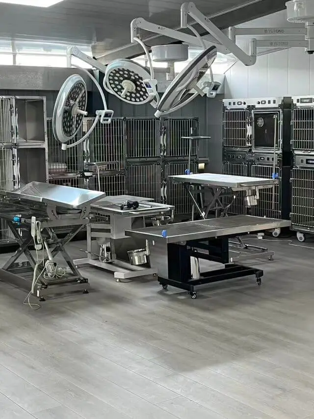 Finished veterinary ICU cages ready for export shipping