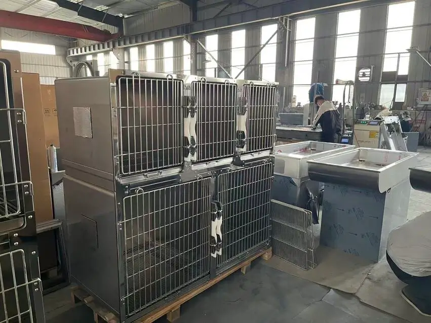 ISO certified quality inspection line at PillarVet factory