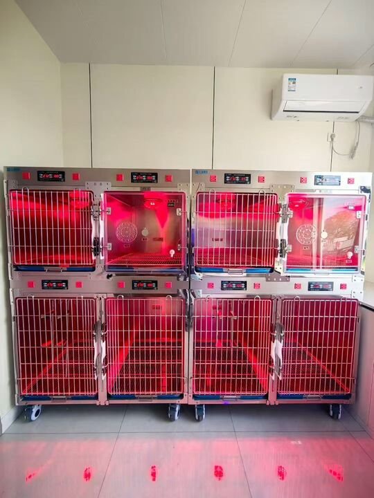 PillarVet Stainless Steel Pet Cage with Infrared Warming Light