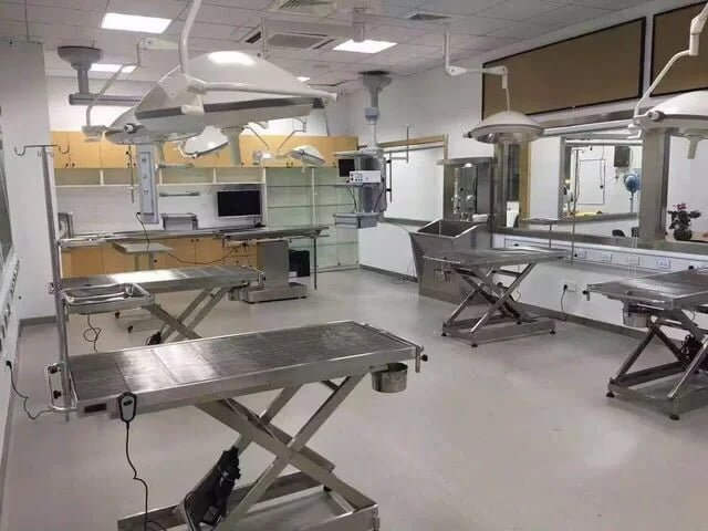 PillarVet Surgical Lights and Tables in Teaching Hospital