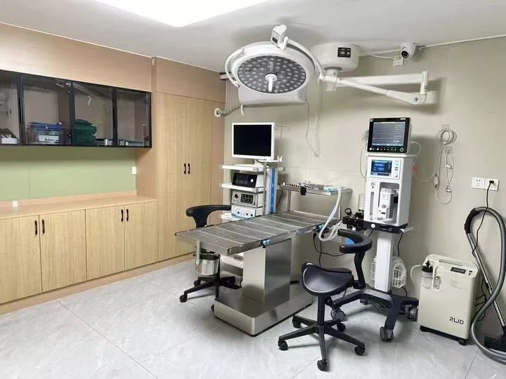 PillarVet Veterinary Surgical Light and Table