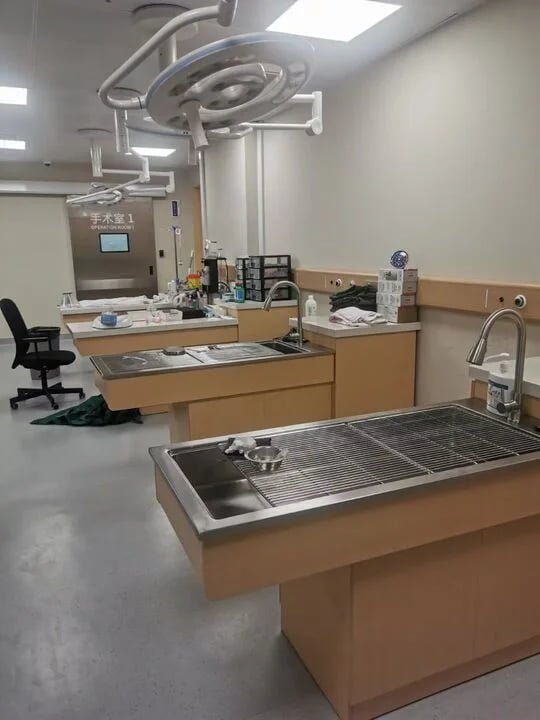 PillarVet Wet Treatment Table