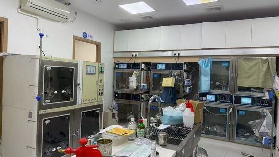 PillarVet Veterinary Oxygen ICU Cage